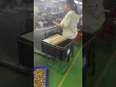 specjalnie zaprojektowane 3D plastikowe pvc winylowe zabawki specjalnie zaprojektowane zabawki artystyczne producent